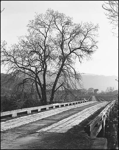 Bridge at Conn Creek