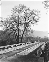 Conn Creek Bridge